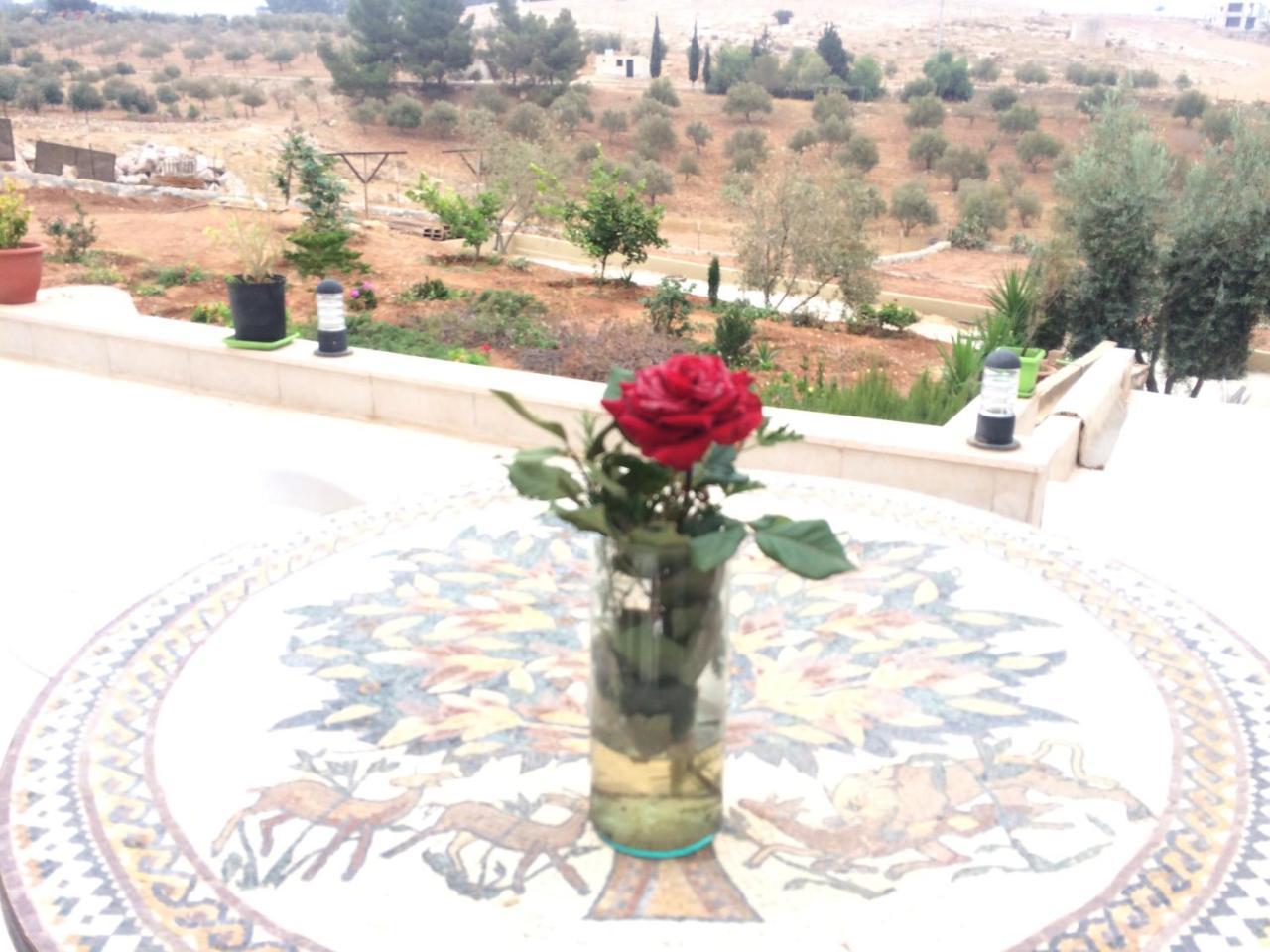 Town Of Mount Nebo Villa Madaba Exterior foto